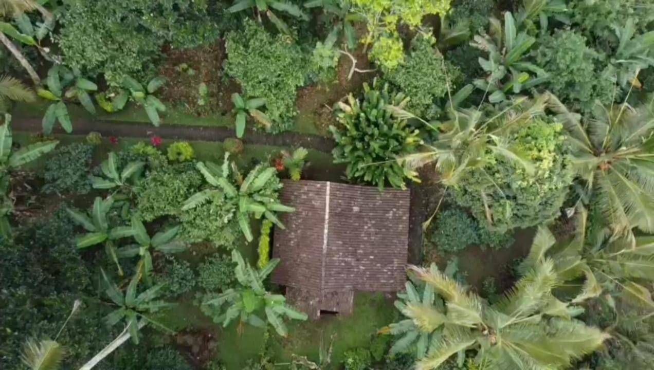 Bali mountain forest cabin Penebel Cameră foto