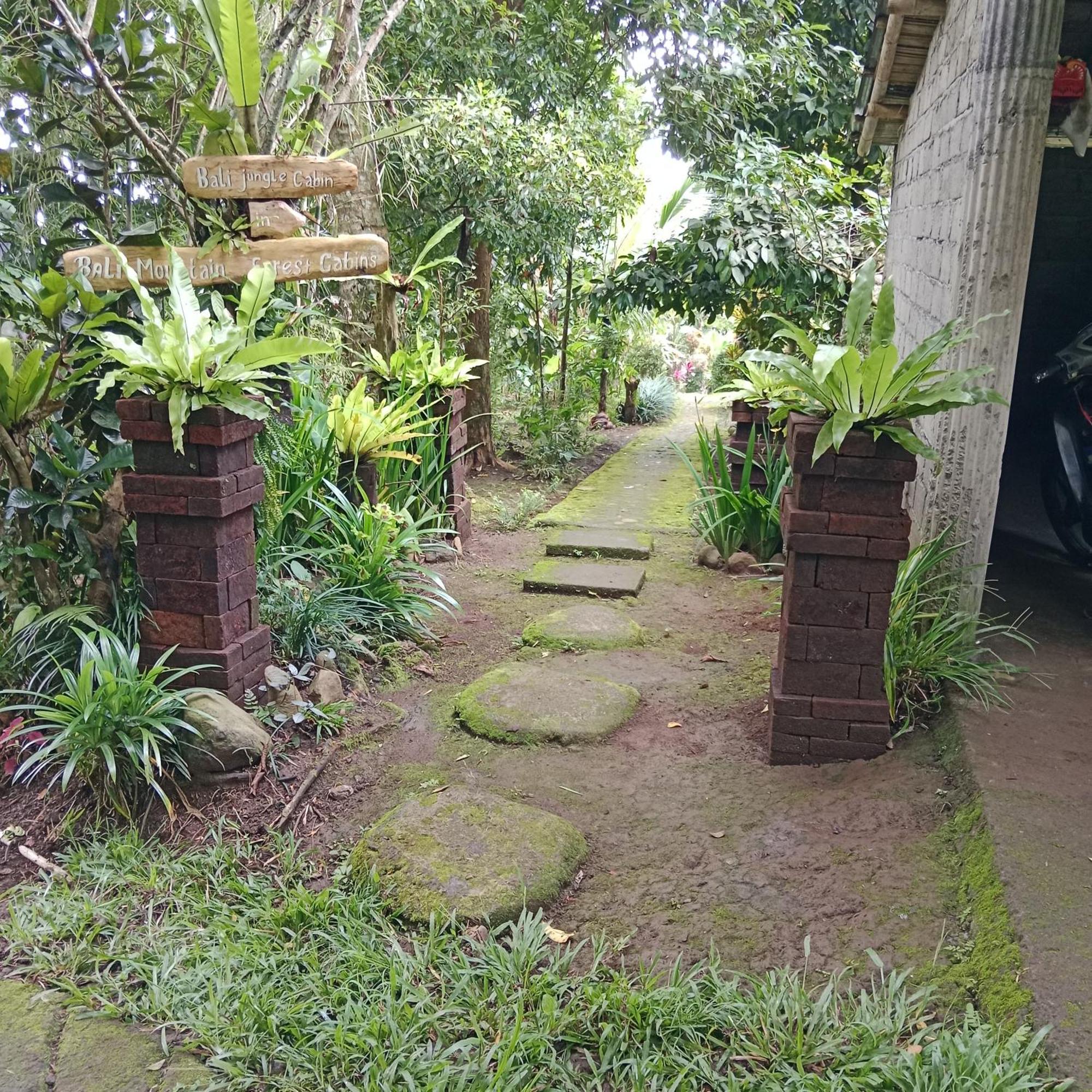 Bali mountain forest cabin Penebel Cameră foto