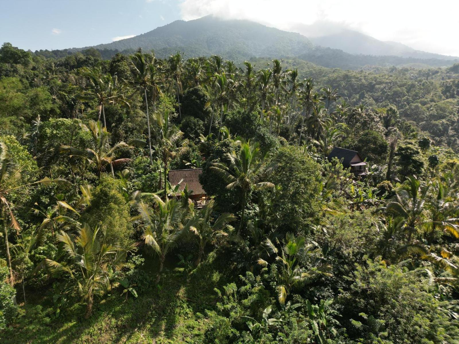 Bali mountain forest cabin Penebel Cameră foto