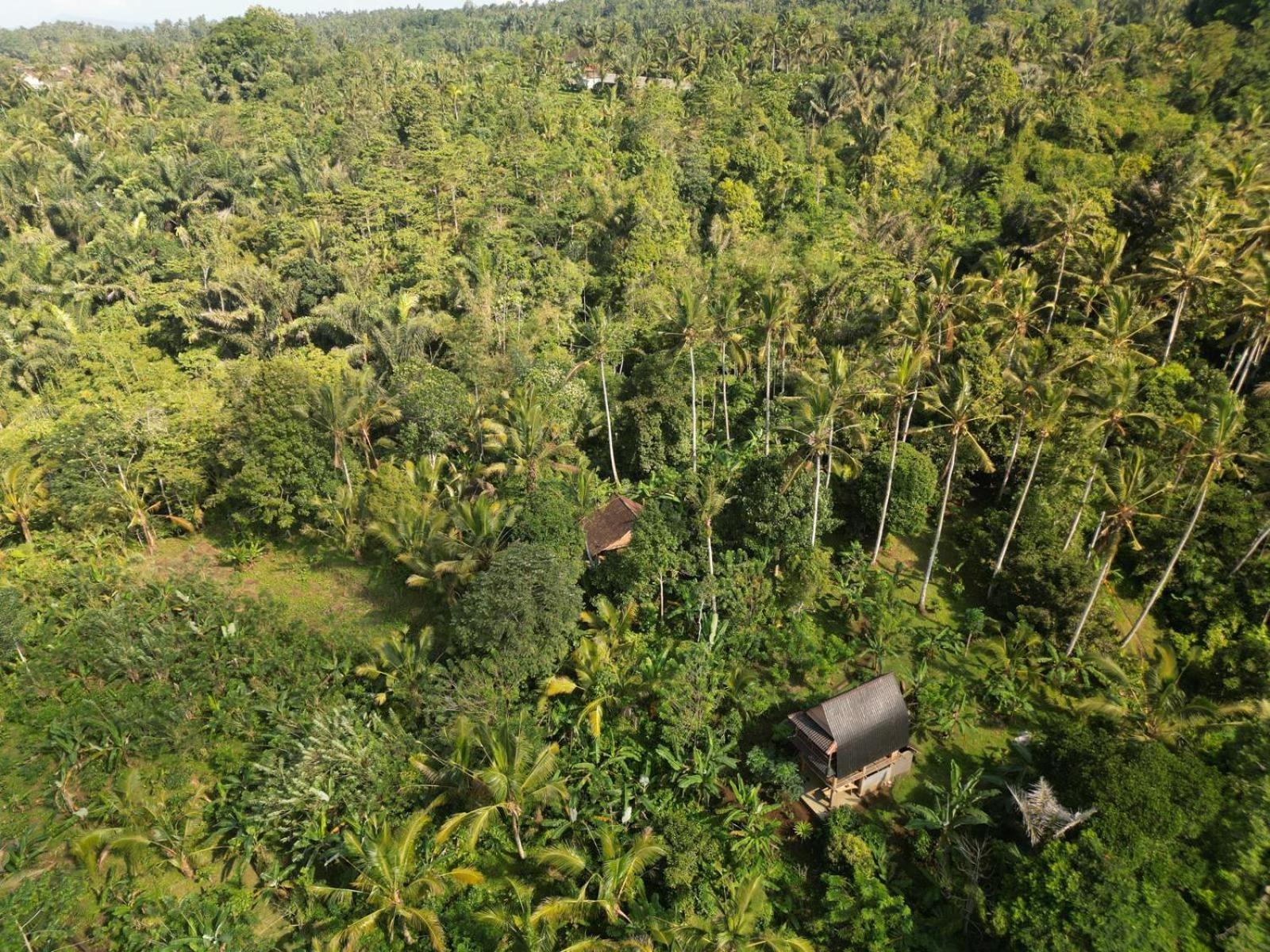 Bali mountain forest cabin Penebel Cameră foto
