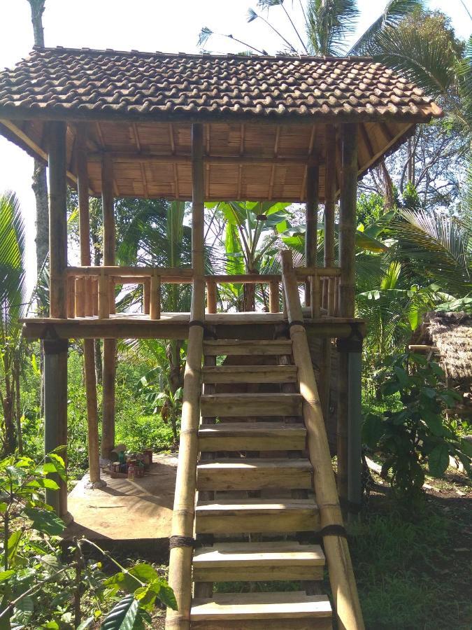Bali mountain forest cabin Penebel Cameră foto